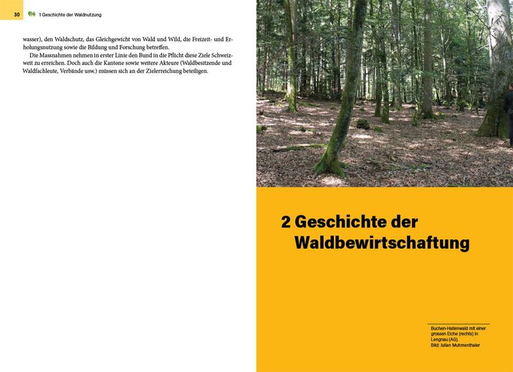 Produktbild: Waldbewirtschaftung in der Schweiz