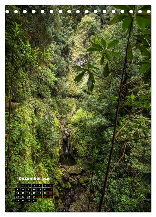 Produktbild: Levadas - Wasserwege auf Madeira (Tischkalender 2026 DIN A5 hoch), CALVENDO Monatskalender