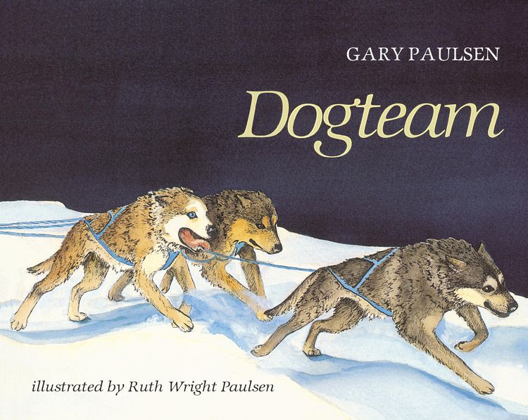 Produktbild: Dogteam