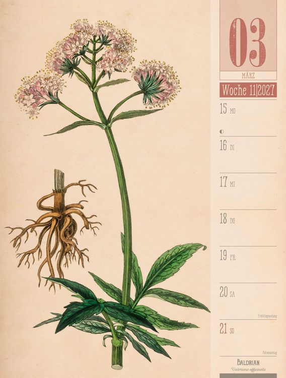 Produktbild: Culinarium Wochenplaner Kalender 2027 | K&uuml;che, Kr&auml;uter, Kurioses
