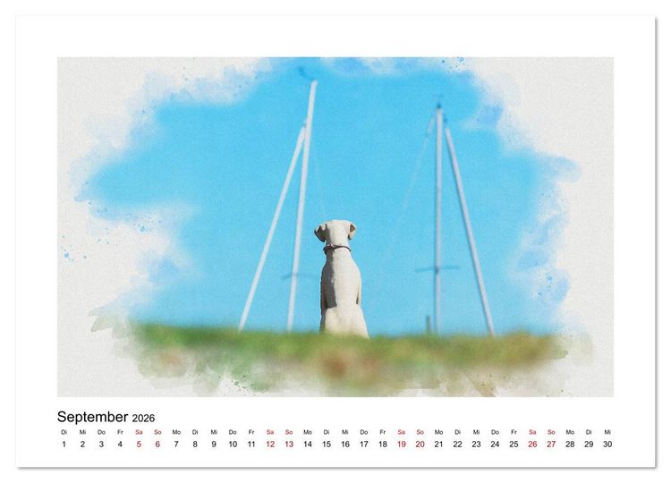 Produktbild: Ostsee Aquarelle (hochwertiger Premium Wandkalender 2026 DIN A2 quer), Kunstdruck in Hochglanz