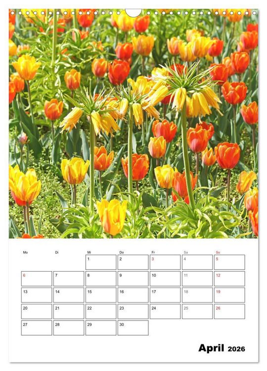 Produktbild: Einzigartiges Heidenheim (Wandkalender 2026 DIN A3 hoch), CALVENDO Monatskalender