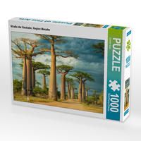 Produktbild: CALVENDO Puzzle Stra&szlig;e der Baobabs, Region Menabe | 1000 Teile Lege-Gr&ouml;&szlig;e 64x48cm Foto-Puzzle f&uuml;r gl&uuml;ckliche Stunden