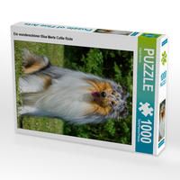 Produktbild: CALVENDO Puzzle Ein wundersch&ouml;ner Blue Merle Collie R&uuml;de 1000 Teile Lege-Gr&ouml;&szlig;e 48 x 64 cm Foto-Puzzle Bild von Sigrid Starick