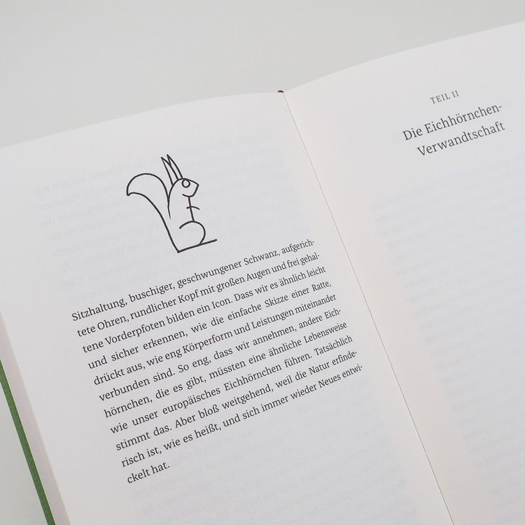 Produktbild: Das Leben der Eichh&ouml;rnchen