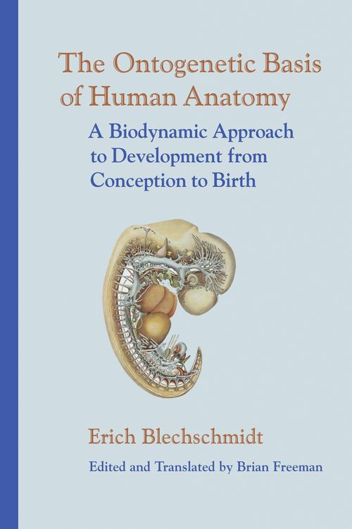 Produktbild: The Ontogenetic Basis of Human Anatomy