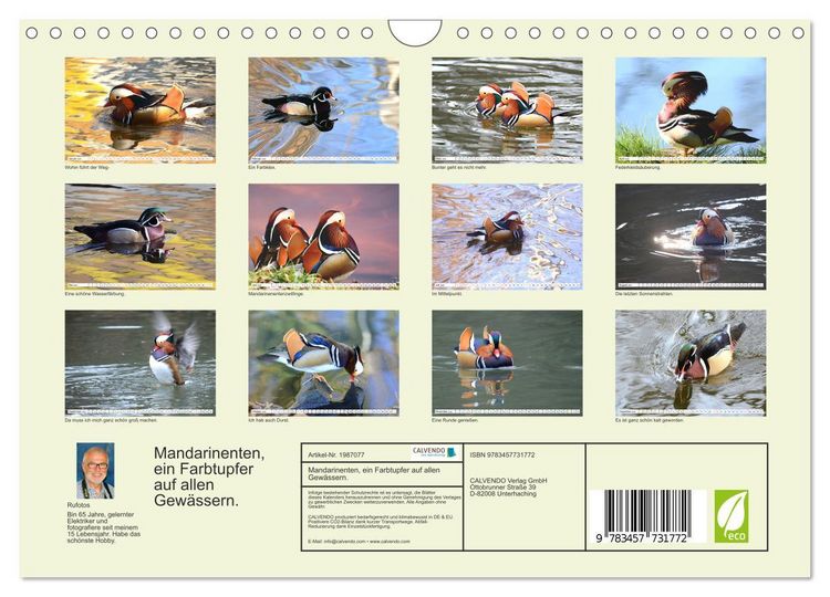 Produktbild: Mandarinenten, ein Farbtupfer auf allen Gew&auml;ssern. (Wandkalender 2026 DIN A4 quer), CALVENDO Monatskalender