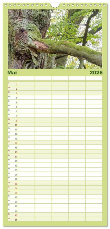 Produktbild: Familienplaner 2026 - Waldd&auml;monen mit 5 Spalten (Wandkalender, 21 x 45 cm) CALVENDO