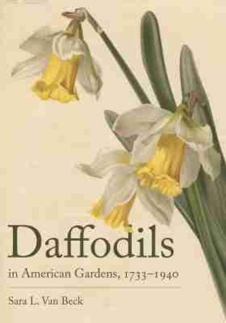 Produktbild: Daffodils in American Gardens, 1733-1940