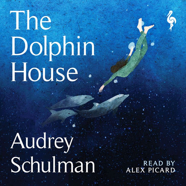 Produktbild: The Dolphin House