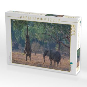 Produktbild: CALVENDO Puzzle Mana pools Nationalpark | 1000 Teile Lege-Gr&ouml;&szlig;e 64x48cm Foto-Puzzle f&uuml;r gl&uuml;ckliche Stunden