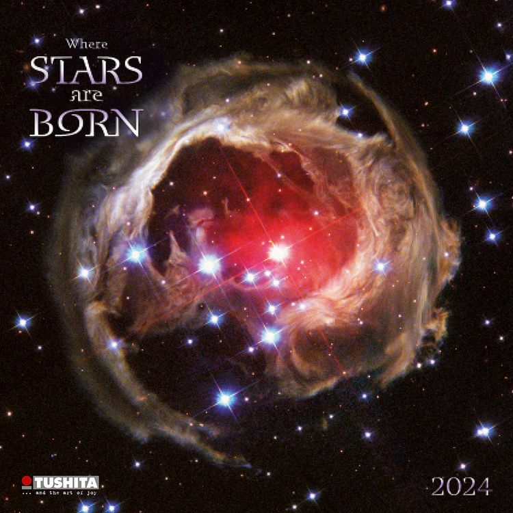 Produktbild: Where Stars are Born 2024