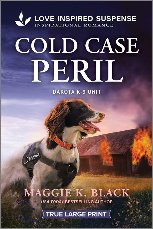 Produktbild: Cold Case Peril