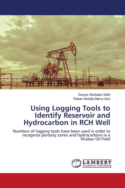 Produktbild: Using Logging Tools to Identify Reservoir and Hydrocarbon in RCH Well