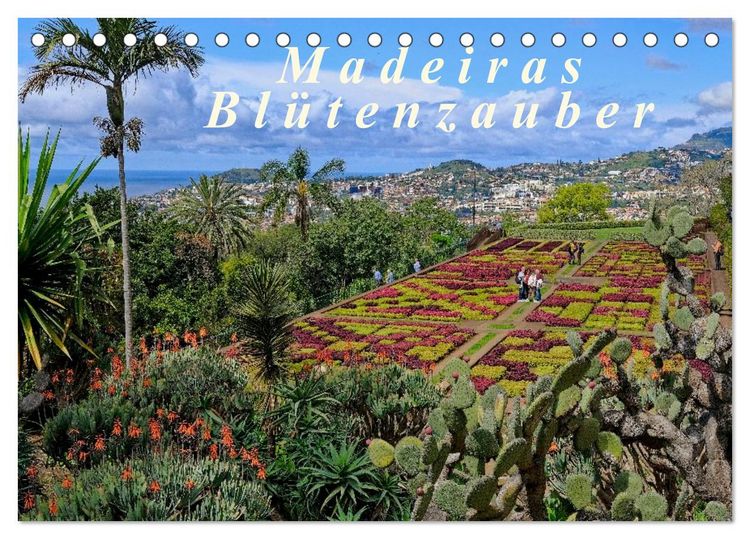 Produktbild: Madeiras Bl&uuml;tenzauber (Tischkalender 2026 DIN A5 quer), CALVENDO Monatskalender