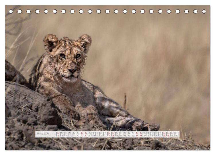 Produktbild: Namibia &ndash; Farben des Lebens (Tischkalender 2026 DIN A5 quer), CALVENDO Monatskalender