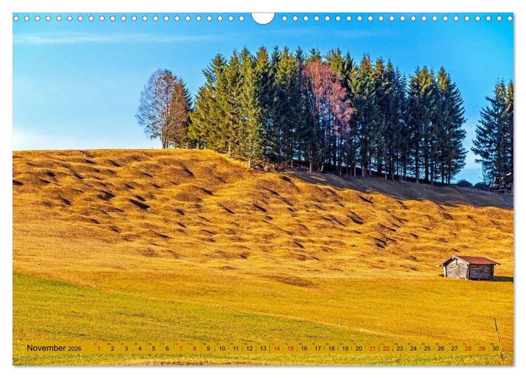 Produktbild: Die Buckelwiesen im Oberen Isartal (Wandkalender 2026 DIN A3 quer), CALVENDO Monatskalender