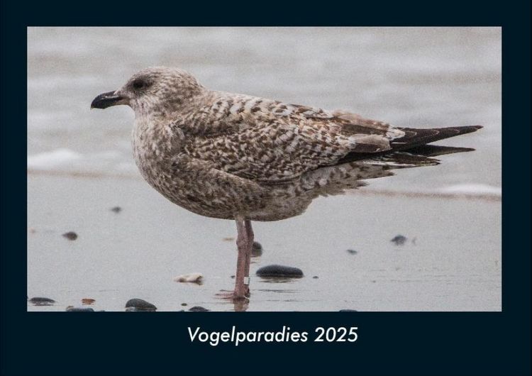 Produktbild: Vogelparadies 2025 Fotokalender DIN A4