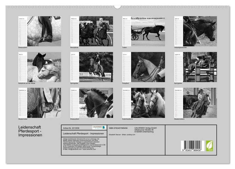 Produktbild: Leidenschaft Pferdesport - Impressionen (hochwertiger Premium Wandkalender 2026 DIN A2 quer), Kunstdruck in Hochglanz