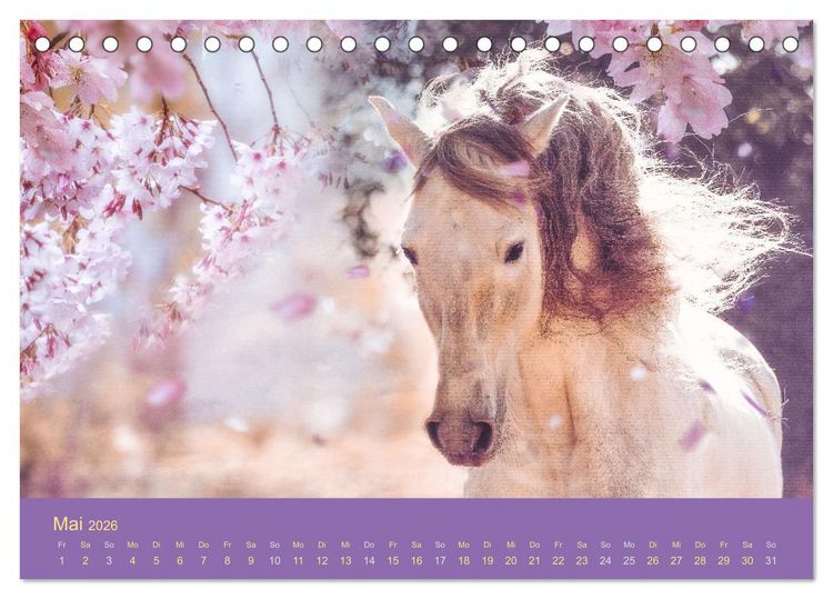 Produktbild: Von der Magie der Pferde (Tischkalender 2026 DIN A5 quer), CALVENDO Monatskalender