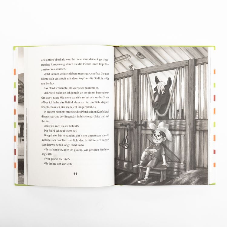 Produktbild: Wonder und ich. Eine Freundschaftsgeschichte (Band 1)