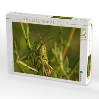 Produktbild: CALVENDO Puzzle Gemeiner Grash&uuml;pfer | 1000 Teile Lege-Gr&ouml;&szlig;e 64x48cm Foto-Puzzle f&uuml;r gl&uuml;ckliche Stunden