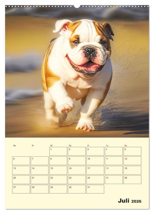 Produktbild: English Bulldogs. Fr&ouml;hliche Dickk&ouml;pfe mit Charakter (Wandkalender 2026 DIN A2 hoch), CALVENDO Monatskalender