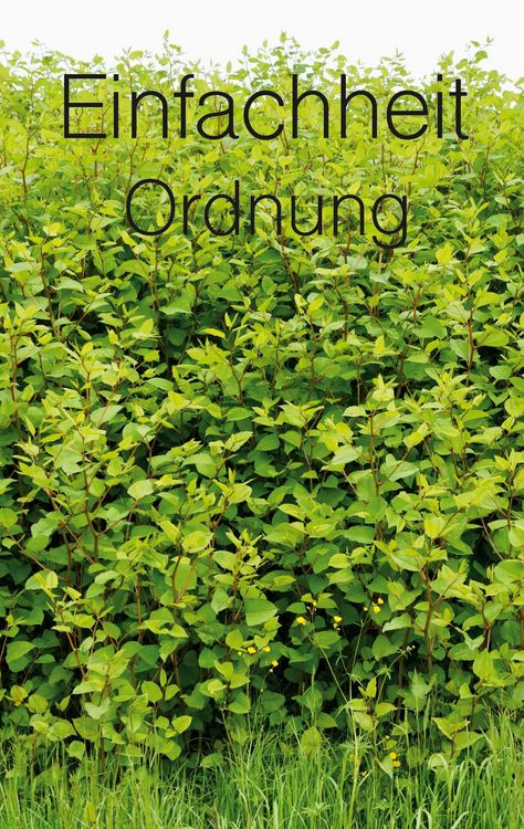 Produktbild: Einfachheit