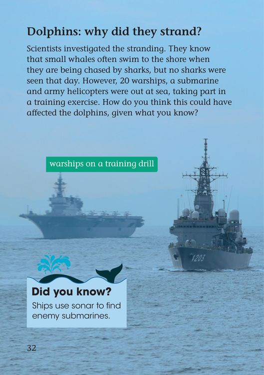 Produktbild: Whale Strandings: A Mystery of Nature