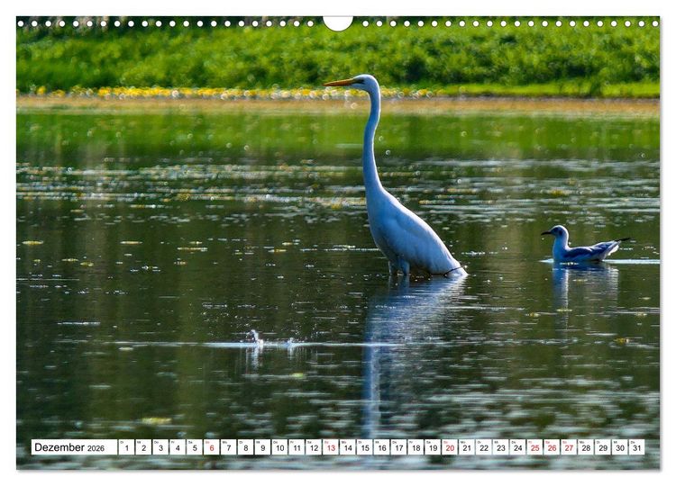 Produktbild: Rund um das Donaudelta (Wandkalender 2026 DIN A3 quer), CALVENDO Monatskalender