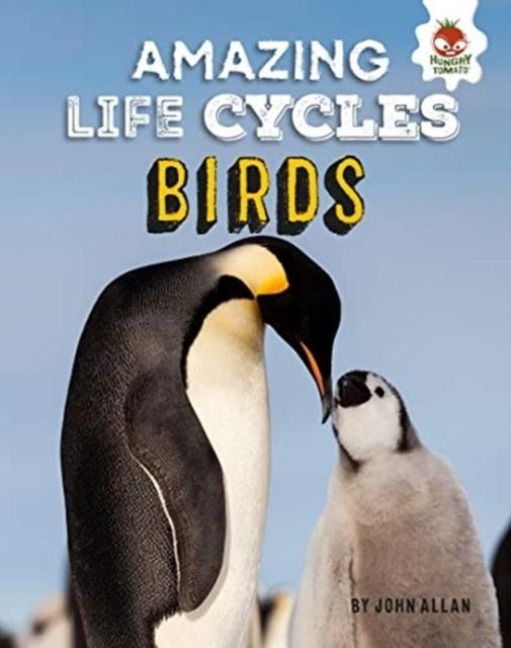 Produktbild: Amazing Life Cycles-Birds