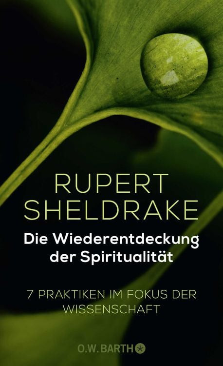 Produktbild: Die Wiederentdeckung der Spiritualit&auml;t