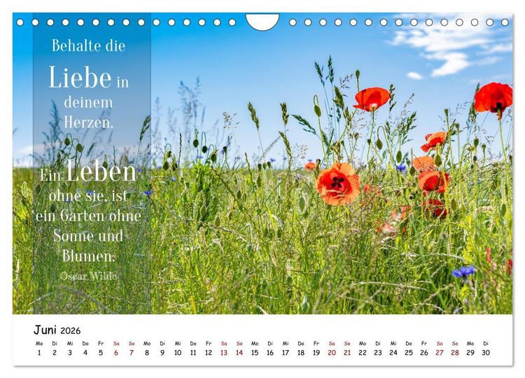 Produktbild: Lebensweisheiten, motivierende Spr&uuml;che und kluge Zitate mit Bildern der Natur (Wandkalender 2026 DIN A4 quer), CALVENDO Monatskalender