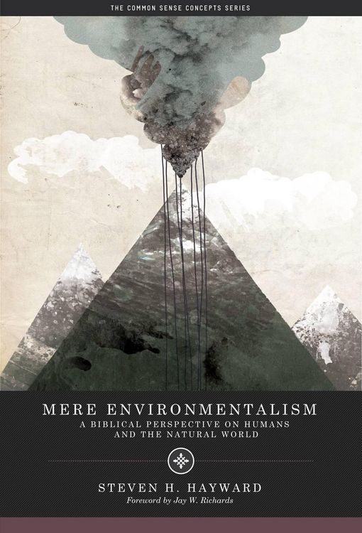 Produktbild: Mere Environmentalism
