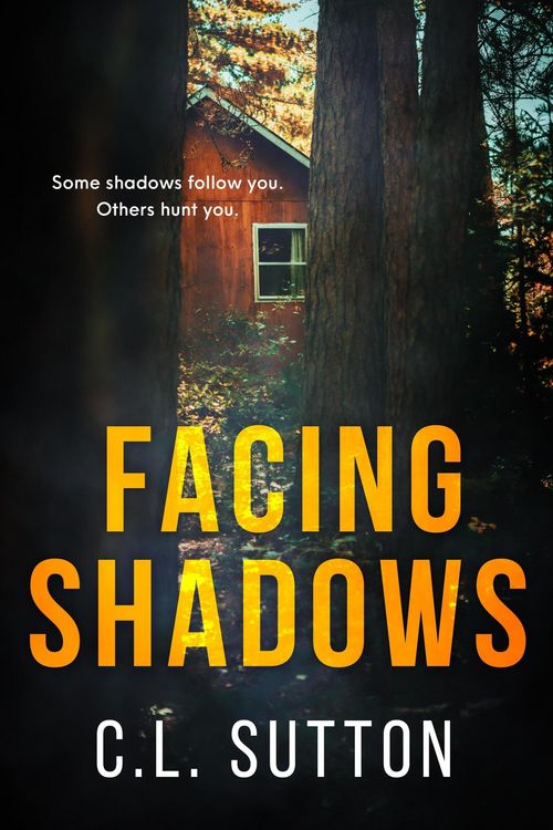 Produktbild: Facing Shadows