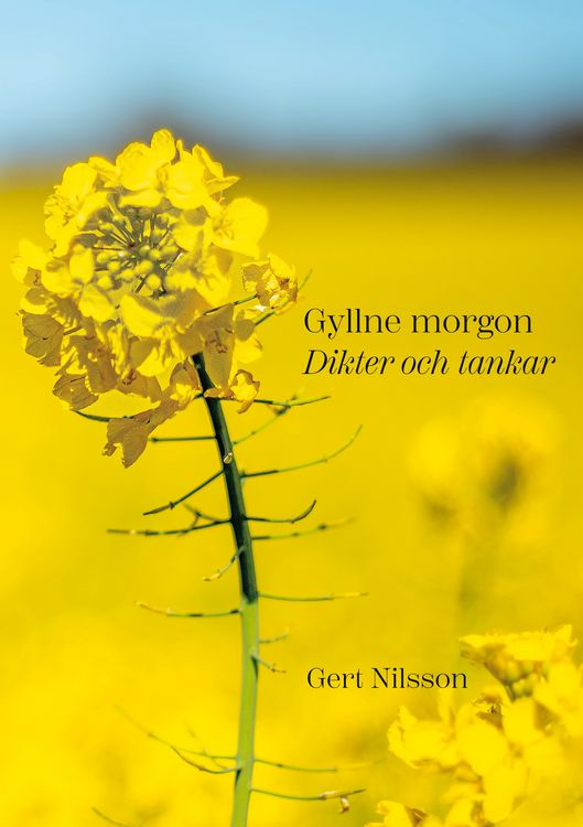 Produktbild: Gyllne morgon
