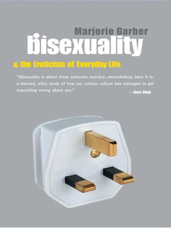 Produktbild: Bisexuality and the Eroticism of Everyday Life