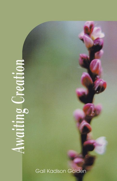 Produktbild: Awaiting Creation