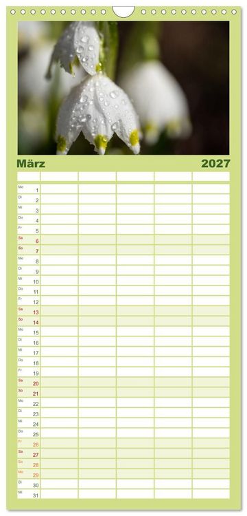 Produktbild: Familienplaner 2027 - Fr&uuml;hlingsbl&uuml;her - Farbenpracht nach dem Winter mit 5 Spalten (Wandkalender, 21 x 45 cm) CALVENDO