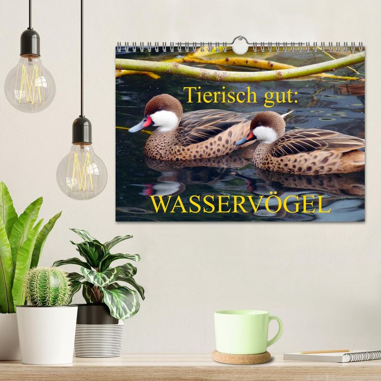 Produktbild: Tierisch gut: Wasserv&ouml;gel (Wandkalender 2026 DIN A4 quer), CALVENDO Monatskalender