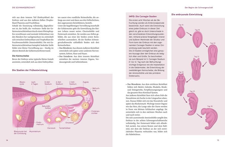 Produktbild: Das große Buch zur Schwangerschaft