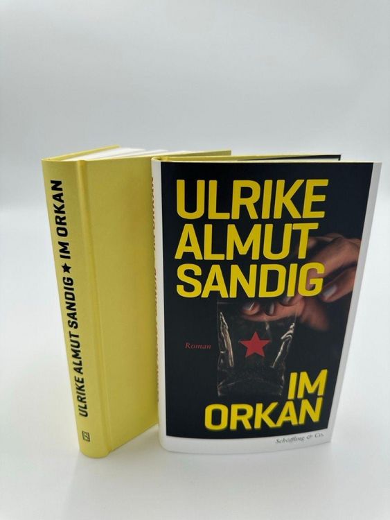 Produktbild: Im Orkan