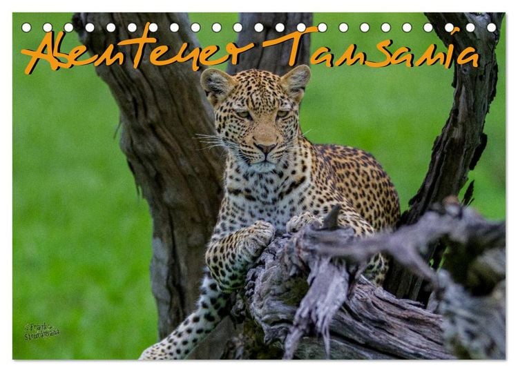 Produktbild: Abenteuer Tansania, Afrika (Tischkalender 2026 DIN A5 quer), CALVENDO Monatskalender