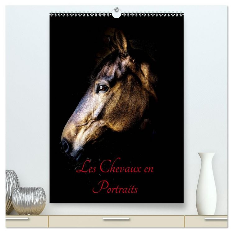 Produktbild: Chevaux en Portraits (Calendrier mural 2026 DIN A2 horizontal) calendrier de bureau