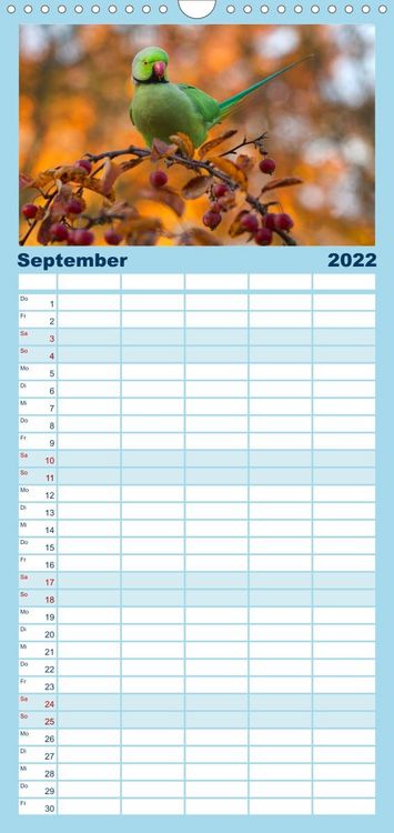 Produktbild: Papageien - Frech, sch&ouml;n und schlau - Familienplaner hoch (Wandkalender 2022 , 21 cm x 45 cm, hoch)