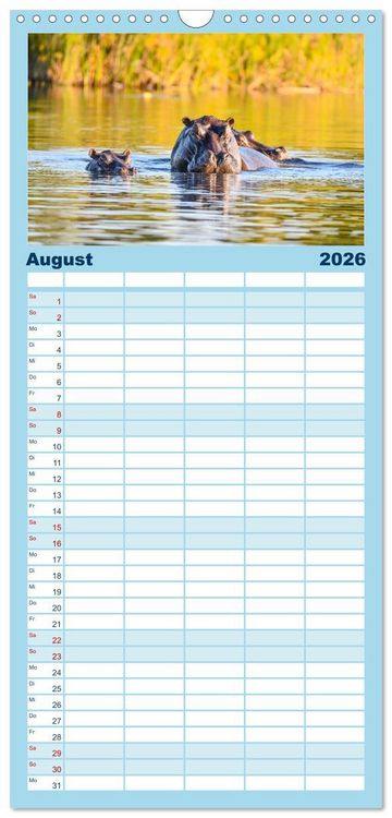 Produktbild: Familienplaner 2026 - Nilpferde, Kolosse in Afrika mit 5 Spalten (Wandkalender, 21 x 45 cm) CALVENDO