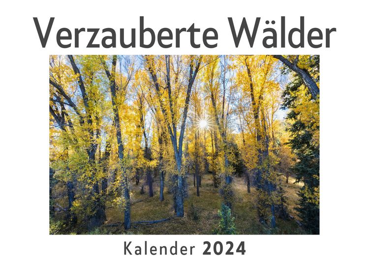 Produktbild: Verzauberte W&auml;lder (Wandkalender 2024, Kalender DIN A4 quer, Monatskalender im Querformat mit Kalendarium, Das perfekte Geschenk)