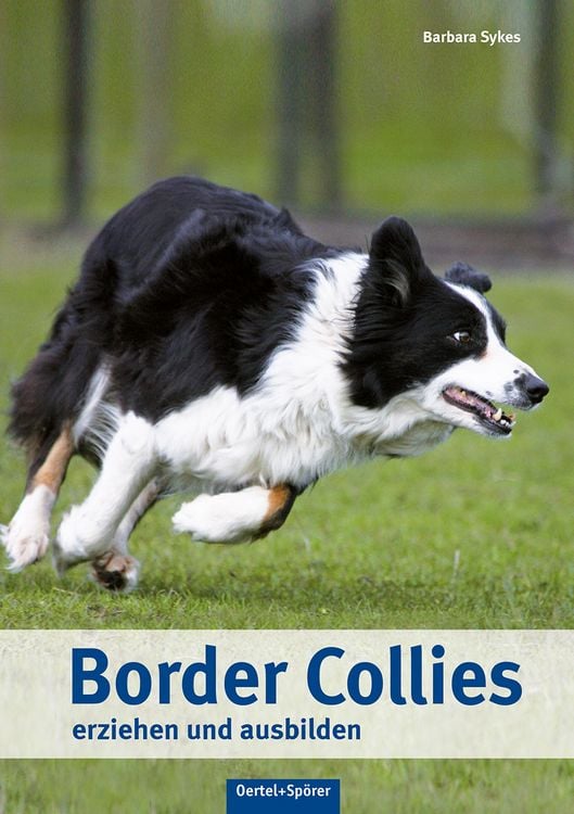 Produktbild: Border Collies erziehen und ausbilden