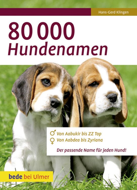 Produktbild: 80 000 Hundenamen