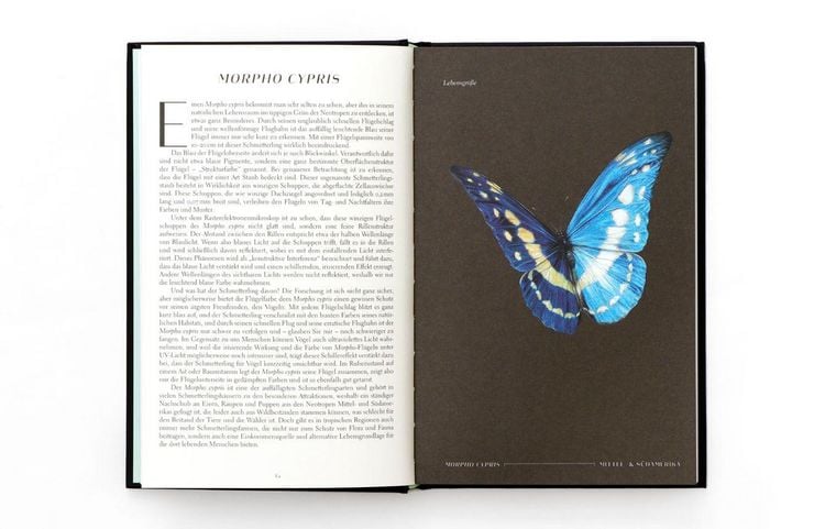Produktbild: Wunderwelt der Insekten